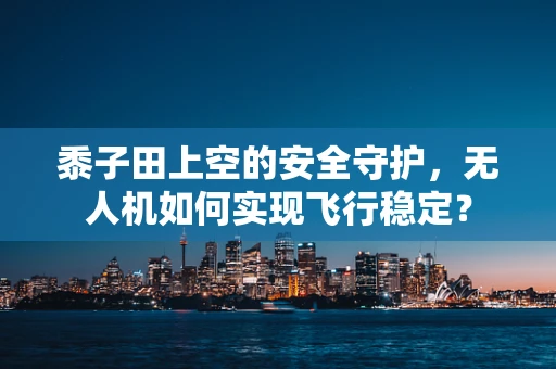 黍子田上空的安全守护，无人机如何实现飞行稳定？