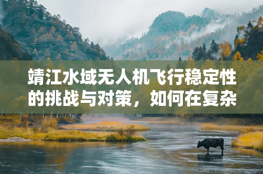 靖江水域无人机飞行稳定性的挑战与对策，如何在复杂环境中保持精准操控？