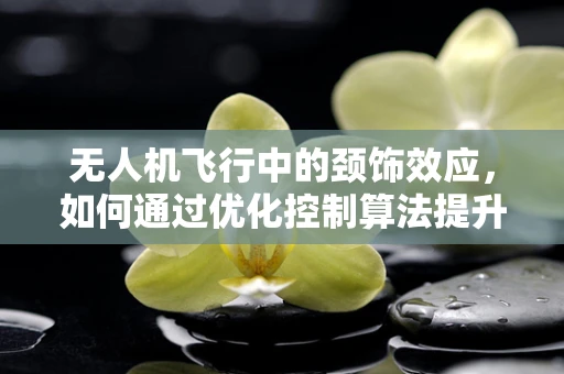 无人机飞行中的颈饰效应，如何通过优化控制算法提升飞行稳定性？