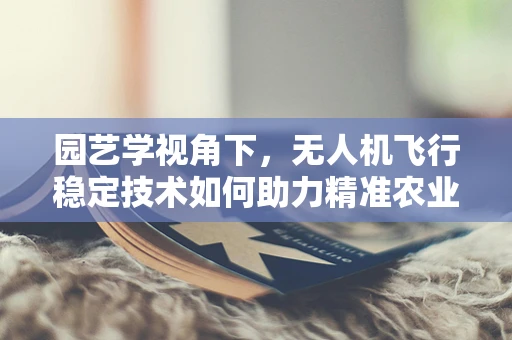 园艺学视角下，无人机飞行稳定技术如何助力精准农业？
