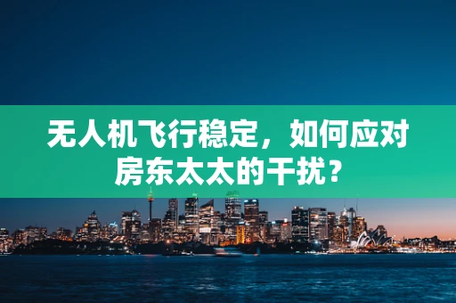 无人机飞行稳定，如何应对房东太太的干扰？