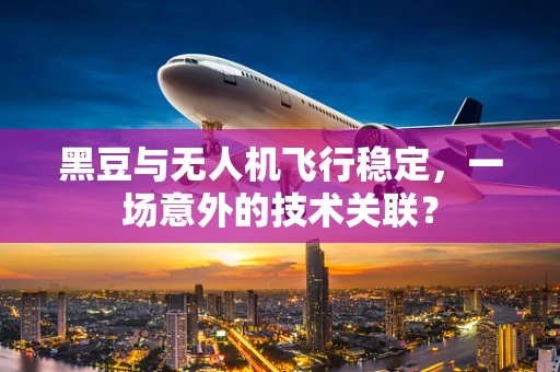 黑豆与无人机飞行稳定，一场意外的技术关联？
