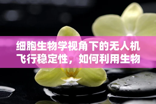 细胞生物学视角下的无人机飞行稳定性，如何利用生物启发的控制策略？
