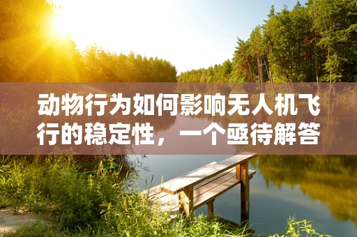 动物行为如何影响无人机飞行的稳定性，一个亟待解答的科技与自然交叉问题？