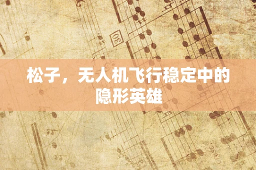 松子，无人机飞行稳定中的隐形英雄