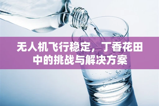 无人机飞行稳定，丁香花田中的挑战与解决方案