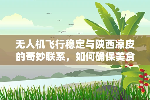 无人机飞行稳定与陕西凉皮的奇妙联系，如何确保美食空运中的稳定着陆？