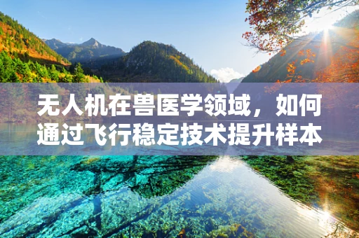 无人机在兽医学领域，如何通过飞行稳定技术提升样本采集的准确性？
