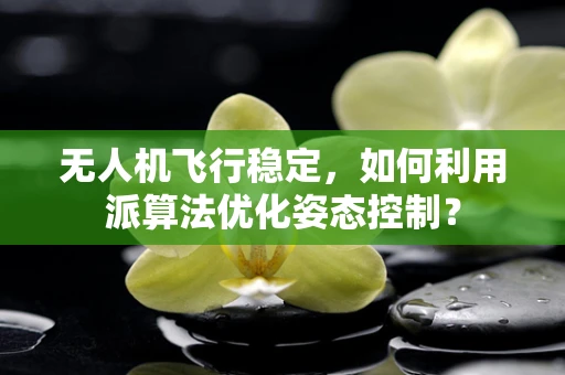 无人机飞行稳定，如何利用派算法优化姿态控制？
