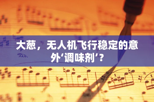 大葱，无人机飞行稳定的意外‘调味剂’？
