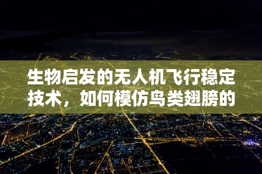生物启发的无人机飞行稳定技术，如何模仿鸟类翅膀的动态平衡？