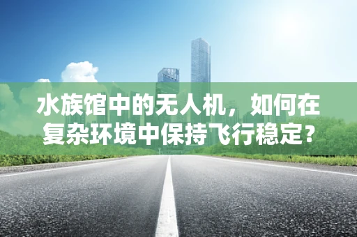 水族馆中的无人机，如何在复杂环境中保持飞行稳定？