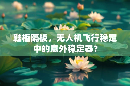 鞋柜隔板，无人机飞行稳定中的意外稳定器？