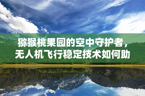 猕猴桃果园的空中守护者，无人机飞行稳定技术如何助力精准喷洒？