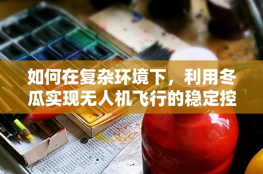 如何在复杂环境下，利用冬瓜实现无人机飞行的稳定控制？
