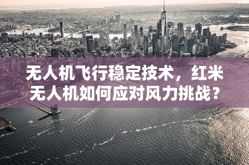 无人机飞行稳定技术，红米无人机如何应对风力挑战？