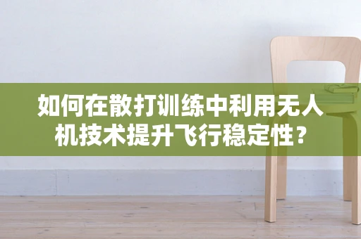 如何在散打训练中利用无人机技术提升飞行稳定性？