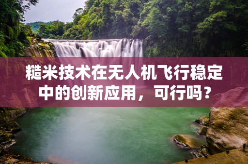 糙米技术在无人机飞行稳定中的创新应用，可行吗？