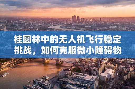 桂圆林中的无人机飞行稳定挑战，如何克服微小障碍物的影响？