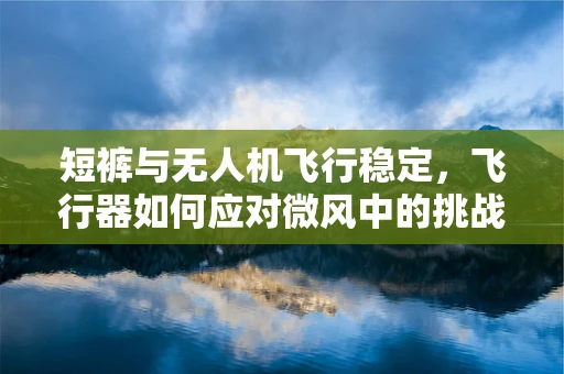 短裤与无人机飞行稳定，飞行器如何应对微风中的挑战？