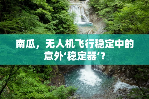 南瓜，无人机飞行稳定中的意外‘稳定器’？
