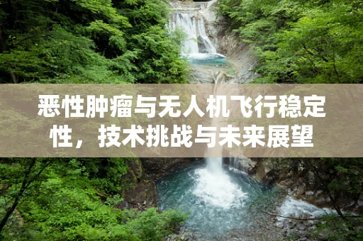 恶性肿瘤与无人机飞行稳定性，技术挑战与未来展望