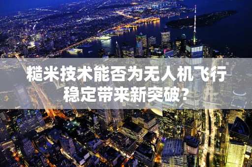 糙米技术能否为无人机飞行稳定带来新突破？