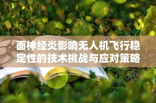面神经炎影响无人机飞行稳定性的技术挑战与应对策略