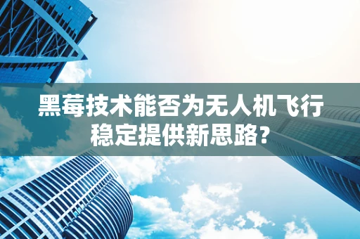 黑莓技术能否为无人机飞行稳定提供新思路？