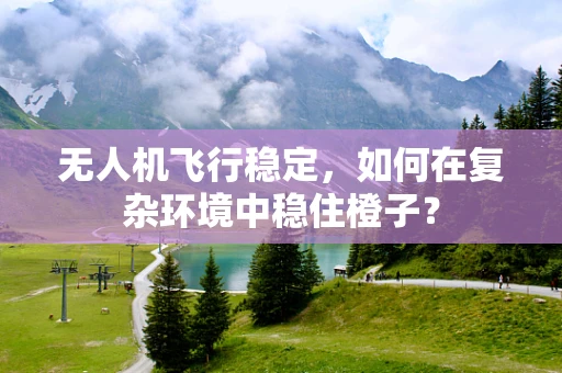 无人机飞行稳定，如何在复杂环境中稳住橙子？