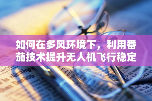 如何在多风环境下，利用番茄技术提升无人机飞行稳定性？