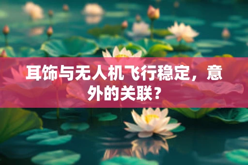 耳饰与无人机飞行稳定，意外的关联？