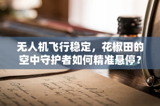 无人机飞行稳定，花椒田的空中守护者如何精准悬停？