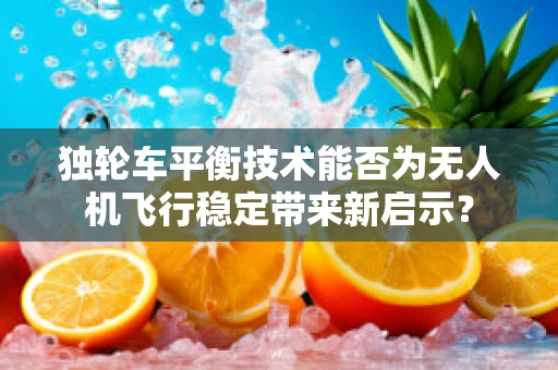 独轮车平衡技术能否为无人机飞行稳定带来新启示？