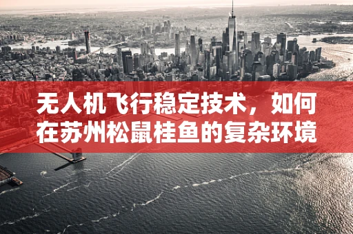 无人机飞行稳定技术，如何在苏州松鼠桂鱼的复杂环境中实现精准航拍？