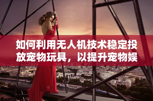如何利用无人机技术稳定投放宠物玩具，以提升宠物娱乐体验？