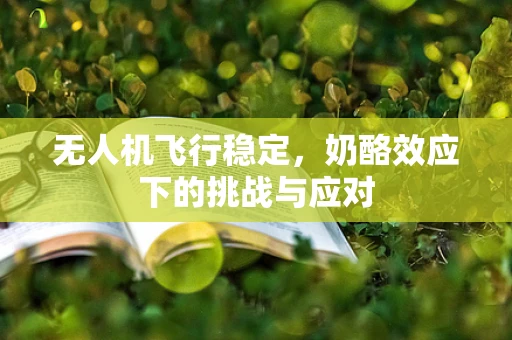 无人机飞行稳定，奶酪效应下的挑战与应对