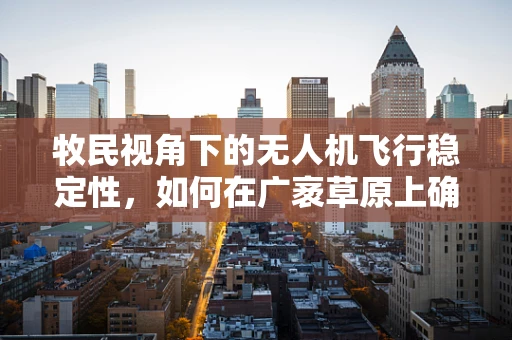 牧民视角下的无人机飞行稳定性，如何在广袤草原上确保精准作业？