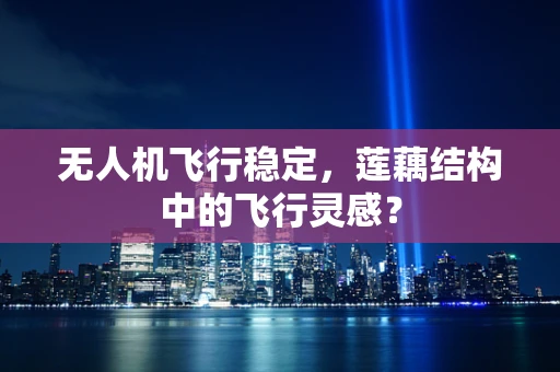 无人机飞行稳定，莲藕结构中的飞行灵感？