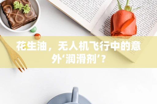 花生油，无人机飞行中的意外‘润滑剂’？
