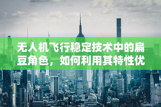 无人机飞行稳定技术中的扁豆角色，如何利用其特性优化飞行平衡？