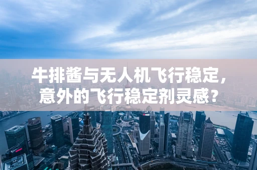 牛排酱与无人机飞行稳定，意外的飞行稳定剂灵感？