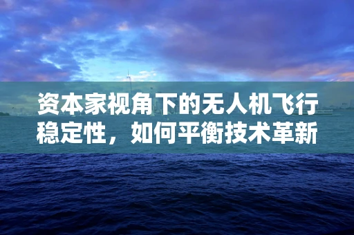 资本家视角下的无人机飞行稳定性，如何平衡技术革新与成本控制？