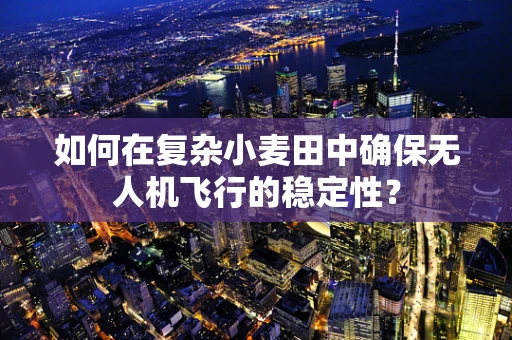 如何在复杂小麦田中确保无人机飞行的稳定性？