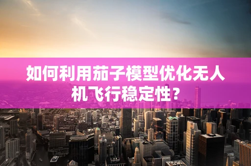 如何利用茄子模型优化无人机飞行稳定性？
