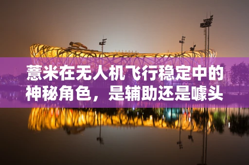 薏米在无人机飞行稳定中的神秘角色，是辅助还是噱头？