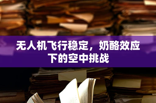 无人机飞行稳定，奶酪效应下的空中挑战
