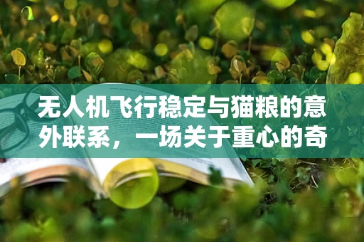 无人机飞行稳定与猫粮的意外联系，一场关于重心的奇妙探索
