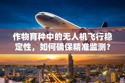 作物育种中的无人机飞行稳定性，如何确保精准监测？