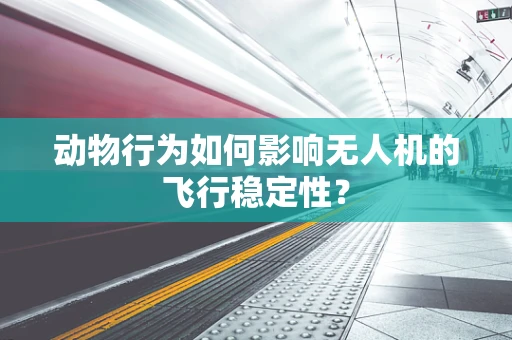 动物行为如何影响无人机的飞行稳定性？